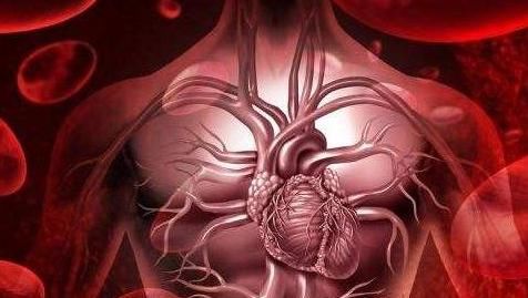 尤为重要|冬季心脑血管疾病频发,该如何保护我们的血管呢?这4点尤为重要