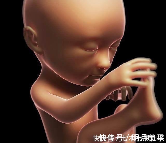 怀孕|四维做到一半,小家伙竟然在妈妈腹中干“坏事”,连医生都乐了