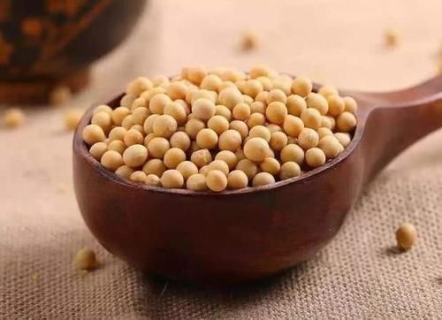 颈椎病|黄豆+生姜,坚持3天,缓解头晕手麻,颈椎病与肩周炎也好多了