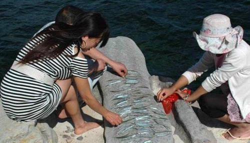 渔民|此鱼嘴巴尖细,很难钓到,聪明的渔民有办法放“针良船”