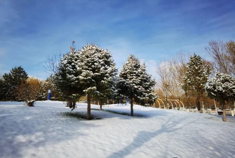 雪花|初雪随想