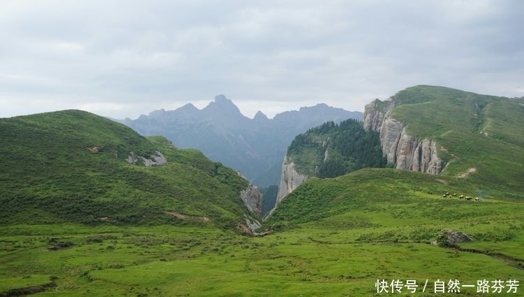 迭部|迭部措美，不忍错过的美丽