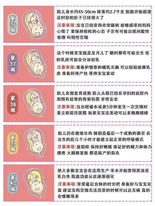 怀孕|女人第一次怀孕，会感到恐惧忐忑么？该怎么调整？