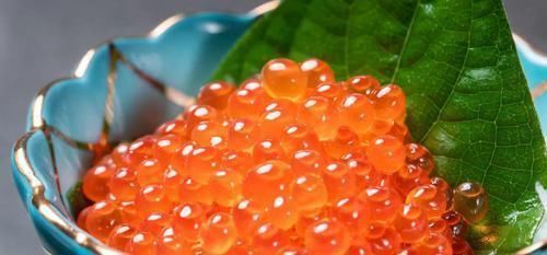 鱼头|注意鱼身上一个部位有毒，千万别吃爱吃鱼的小伙伴赶紧看看吧