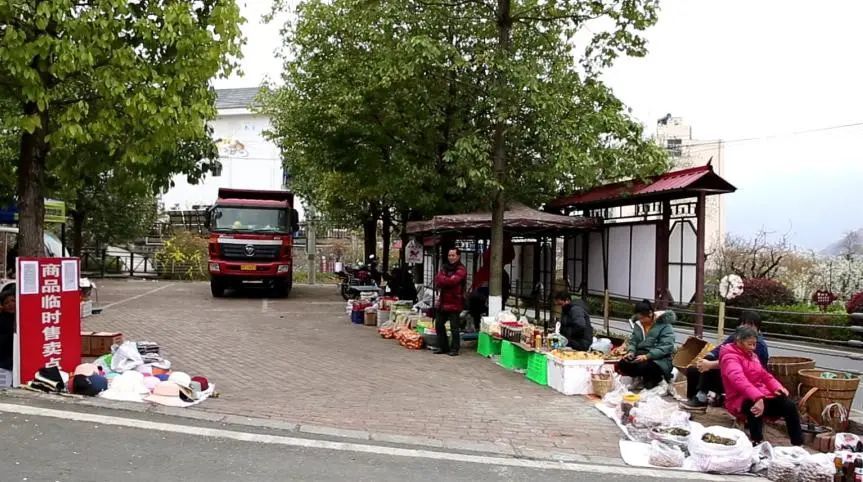 中年|来汉源赏花买特产请认准“景区临时售卖点”