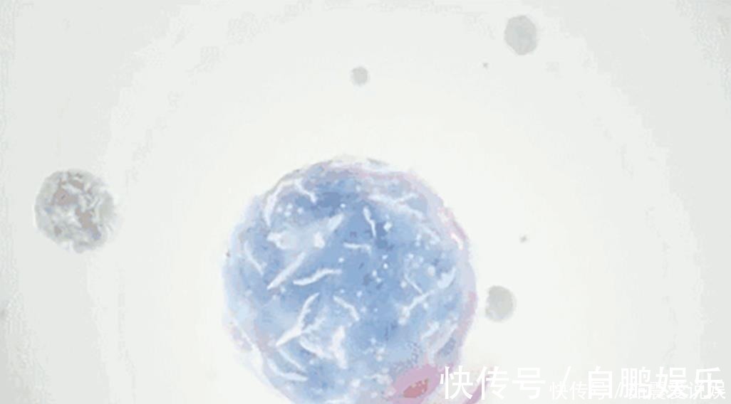 治水@山海经:最神奇的土壤,能够无限增涨,大禹都用它来治水!