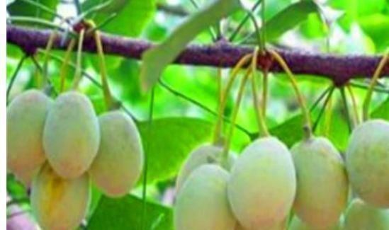 女人|女人不愿长满皱纹,多吃此3种食物,美容养颜,更显年轻