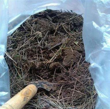 养花没土不用愁 老园丁分享3种配土秘方 便宜又好用不输高价土 快资讯