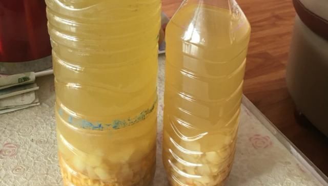 橘皮、柚子皮别扔,泡水里成大补肥,养花太有用了