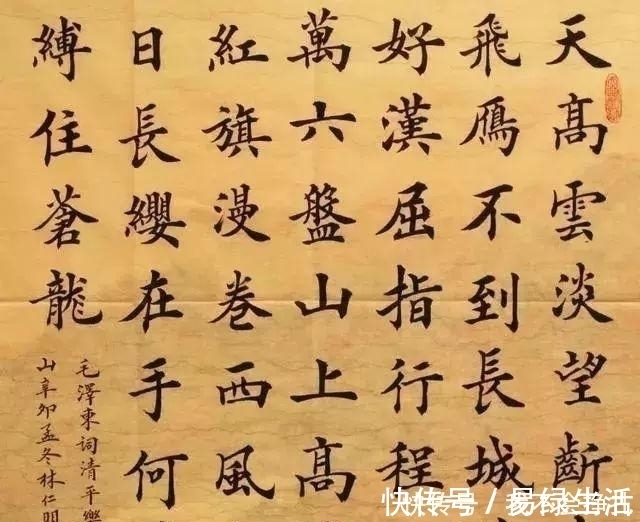 卢中南@他是一位农民老大哥,却写得一手险峻的欧楷,笔笔惊艳,字字险绝