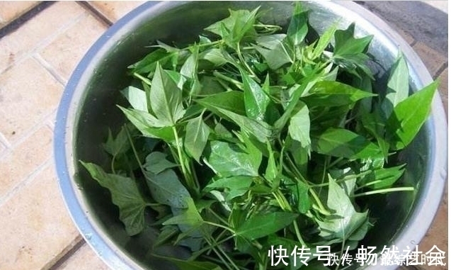 毒素|冬天是排毒的好时机!抓紧吃一点此菜,排出垃圾毒素,肤色更红润