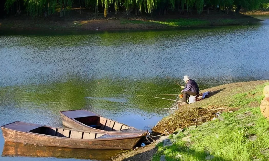 雾化|鲢鳙鱼原来这么易钓!用这个钓法,两个小时装满两个鱼护