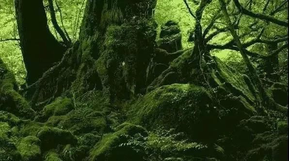 物种 地球不为人知的15大秘密,第一个你就不知道