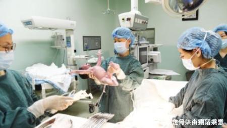 “不好意思抓错了”,产房段子手一脸无辜又嘚瑟,气的产妇都笑了