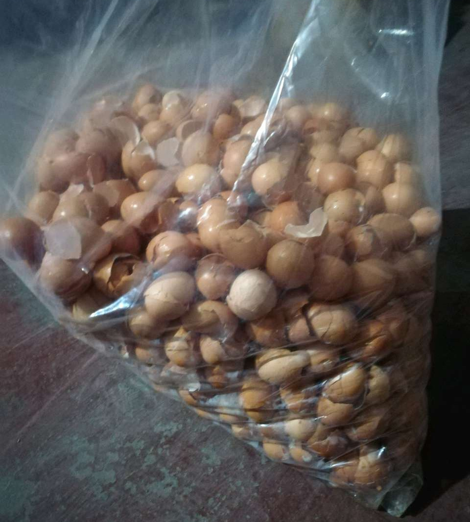 人见人烦的“东西”，却是养花“宝贝”，养啥旺啥，土壤肥沃疏松