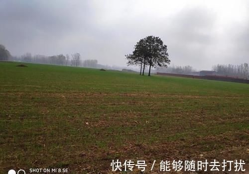 打扫|老话说老房子有人住“百年不倒”,一旦搬走3年就塌,为什么?