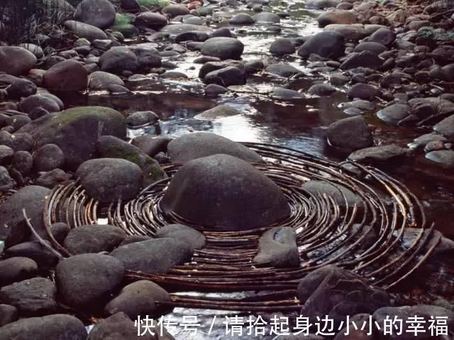 艺术家|他用最简单的树叶、石头、羽毛,建了一座美到极致的自然美术馆