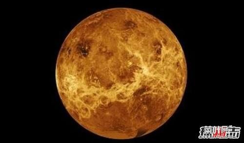 最有可能存在生命的星球