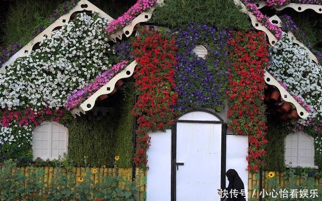 世界上最大|阿联酋迪拜：百万种植物打造“奇迹花园”