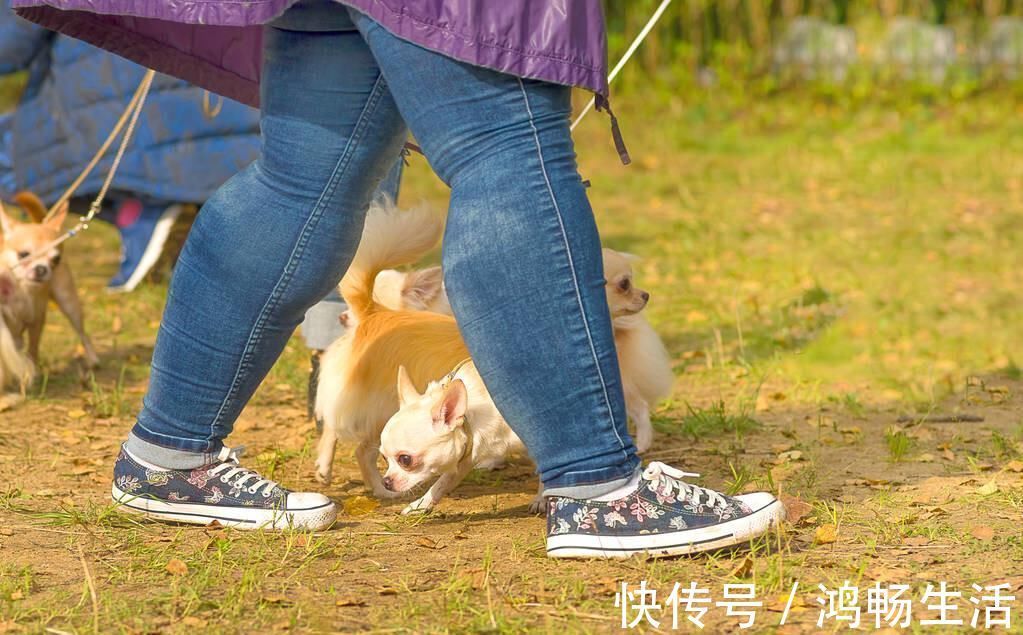 大腿|幾個減大腿肉最快的方法，讓大象腿變細長筷子腿！