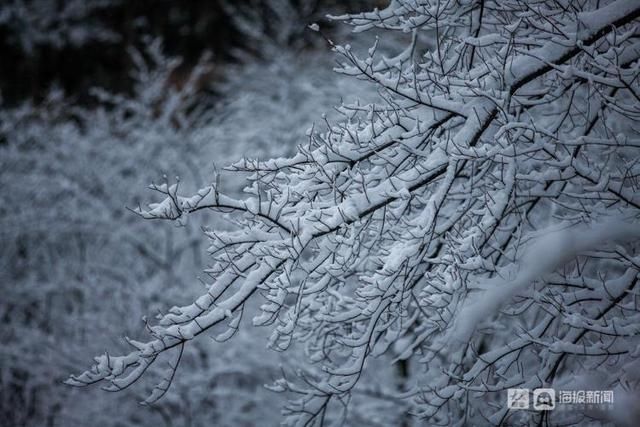 老年|山东迎牛年初雪：空中视角看淄博潭溪山秒变“童话世界”