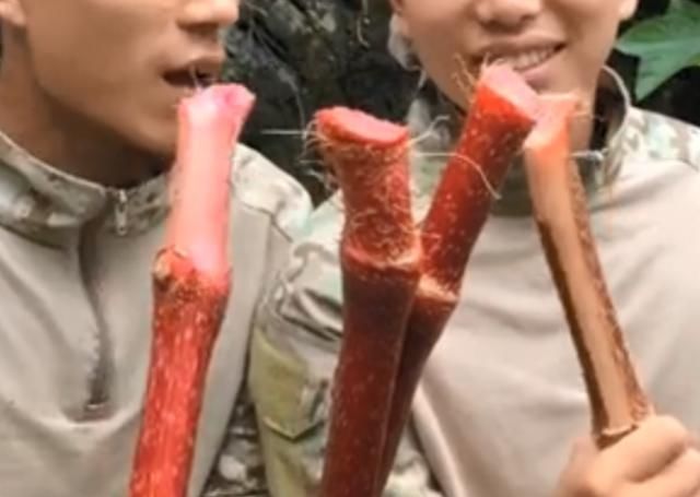 喜欢|这种水果味道比柠檬还要酸,但很多人喜欢吃,吃过的举手