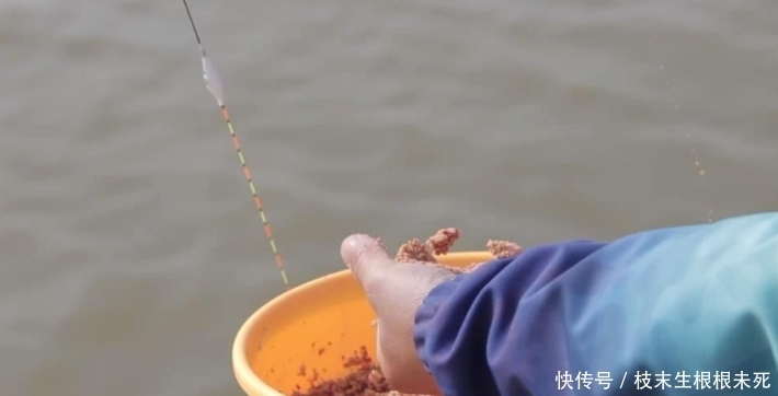 冷空气到来前好钓鱼?你错了,这才是钓鱼的好天气