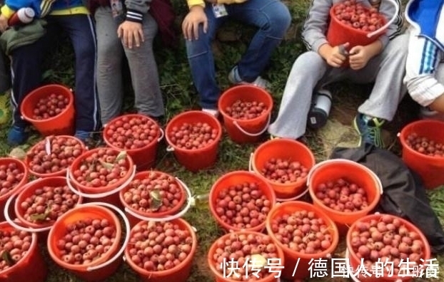 便秘|山楂加“它”喝,是“天然泻药”排出黑臭宿便,缓解口臭和便秘