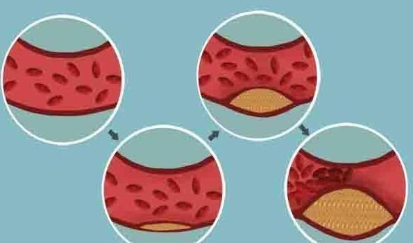身体里面|公认的长寿特征,不妨可以自测一下,若全占,寿命不会短