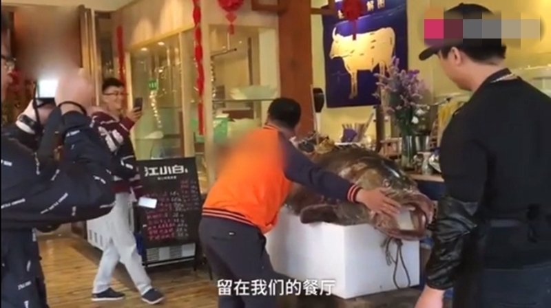 你见过大型石斑鱼吗,但是却被钓友吃了,网友评论亮了