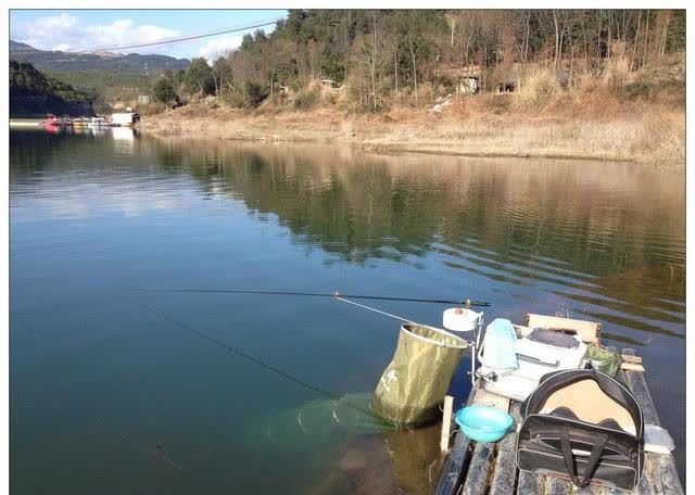 钓鱼光看天气还不行,前置天气同样重要,准确率大幅提高