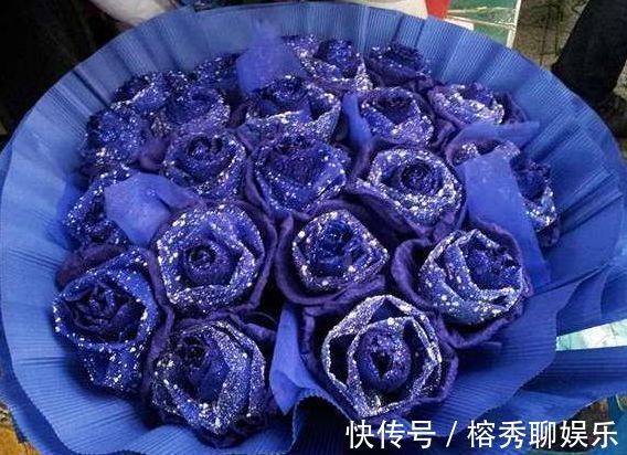 花卉|喜欢玫瑰,不如养盆“珍稀品种”蓝色妖姬,花中新贵,妖艳迷人!