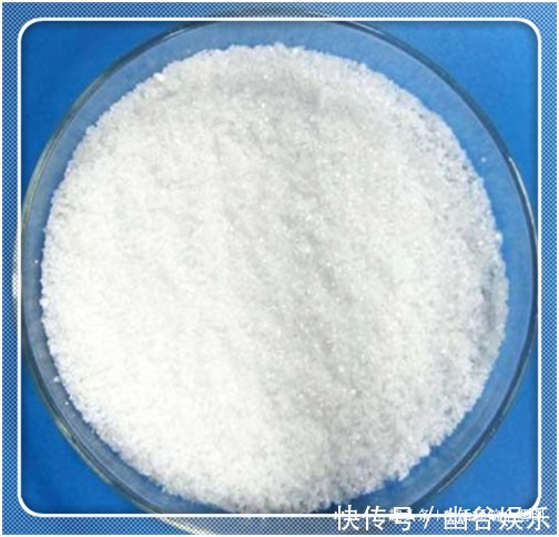 长寿花就好“这一口”,喂足了,叶片油绿发亮,开成“大花球”