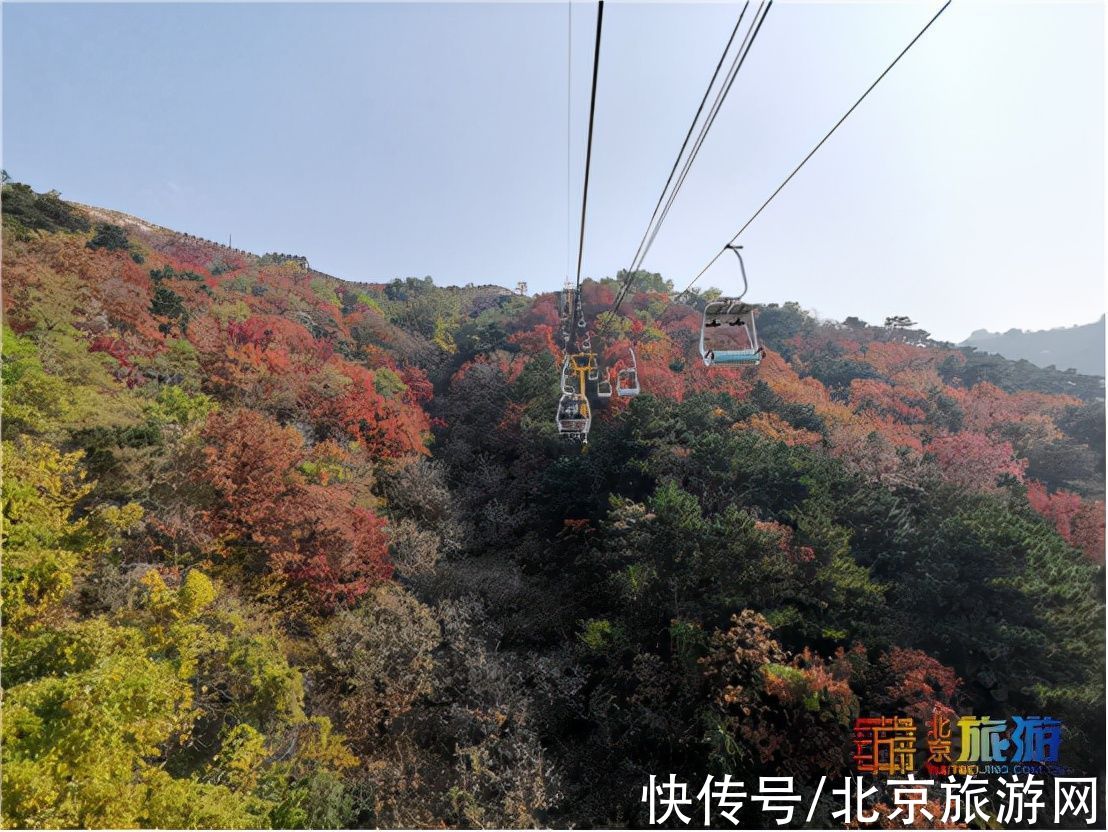 售票|领略深秋慕田峪长城的层林尽染 感受明长城文化的精华