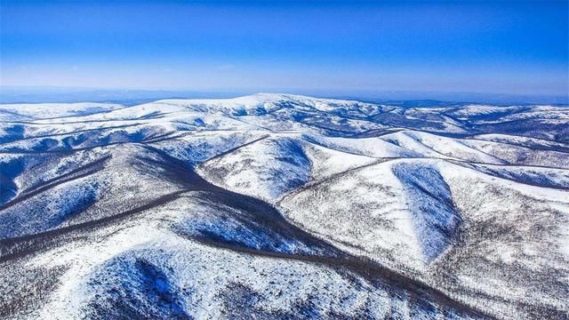 大兴安岭|大兴安岭的原始森林，在冬季有不一样的美感，金色银色交相辉映