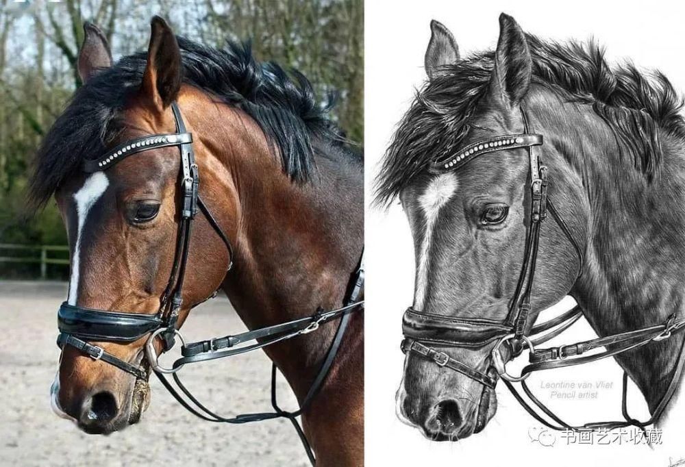  美女|一匹马画了16年！美女学渣逆袭成功，坚持下来很酷！