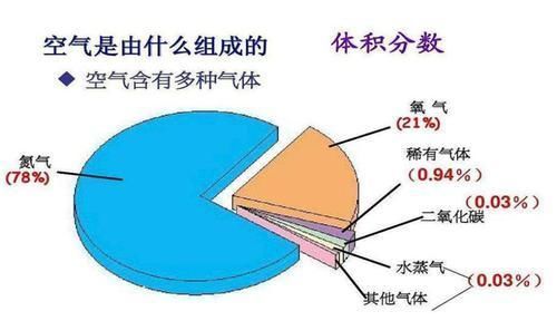 地球含氧量翻一倍后，人类会发生什么？石炭纪的场景告知一切！