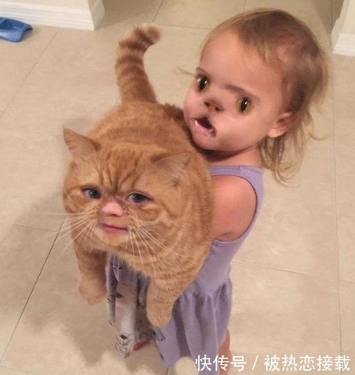 爸爸|当小孩和爸爸换脸会是什么样?被网友恶搞后真的太逗了