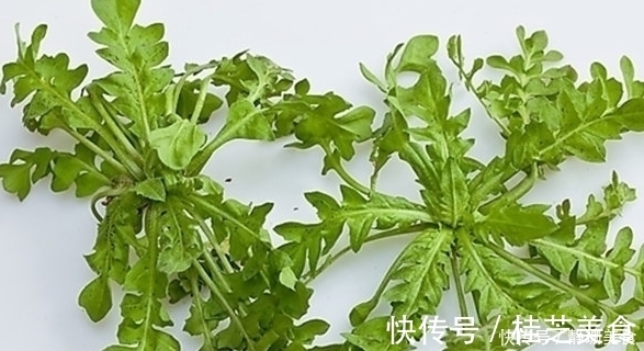 荠菜|被人称为“万寿菜”,以前知道的人很少,现在很多人都会吃!