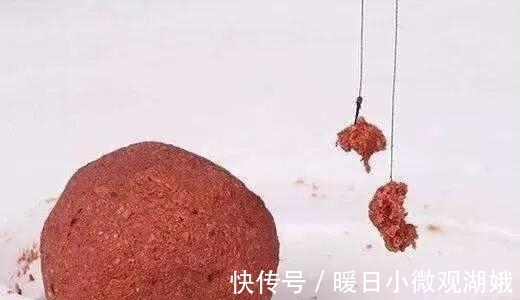 夏天|别再相信蚯蚓是万能饵了,夏天这样用饵,渔获少不了