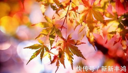 两膝|秋冬养阴,教你一套古人的呼吸养生法,顾护脾阳、调脏腑、练筋骨