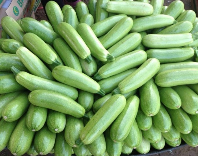 西葫芦|冬季必吃此种瓜,身体顶呱呱,润肺养胃,热量低,营养佳