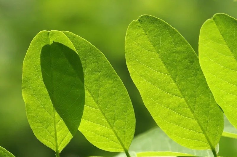 叹白发&66首惊才绝艳的古诗词,终于找全了,值得永久收藏