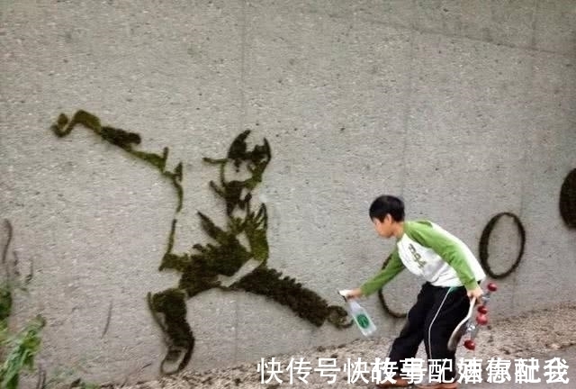 啤酒！他用酸奶、啤酒、苔藓把动物养在墙上，14天后的画面让人惊讶