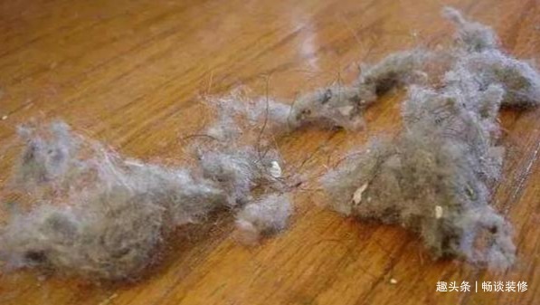 家里每天扫角落还会“毛毛”,冷知识要清楚,别等清理时就生气
