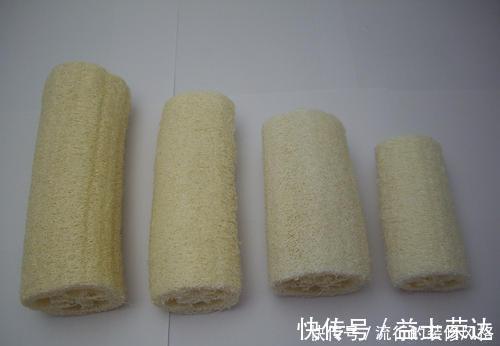 花盆|花盆里垫点底料，根壮叶绿状态好，爆盆真简单