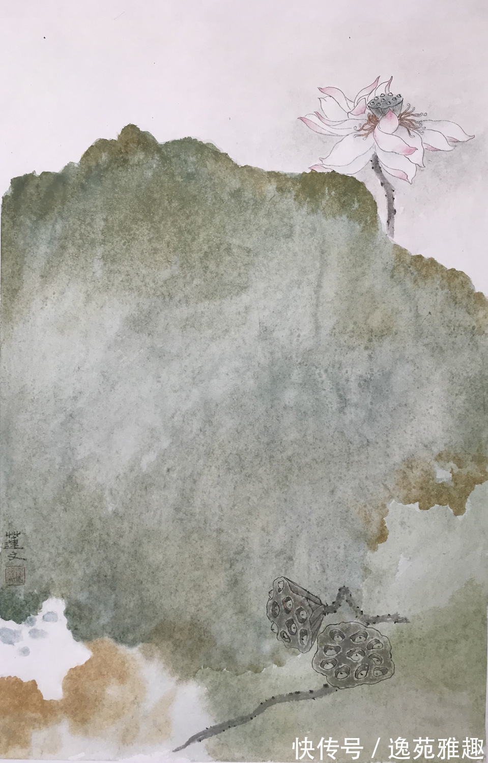 会员$「作品欣赏」淡烟流水画屏幽,女画家崔连文的花鸟作品