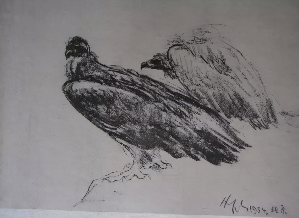 画稿!吴作人吴老先生画稿