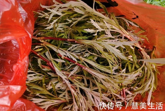小根|65种野菜图片，带你认识不同的野菜和吃法，你想要的野菜这里都有