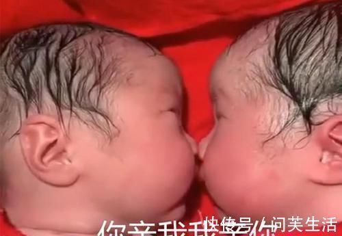 兄妹|龙凤胎兄妹出生后一直亲吻,护士都没法分开,画风太暖心了